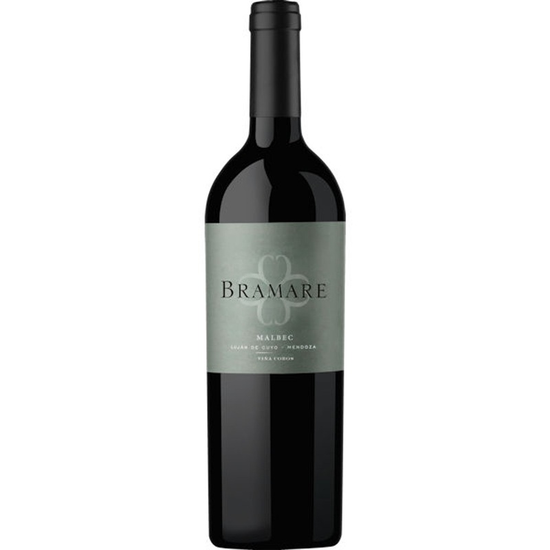 Vina Cobos by Paul Hobbs Bramare Lujan de Cuyo Malbec 2021 (Argentina) Rated 91WE EDITORS CHOICE